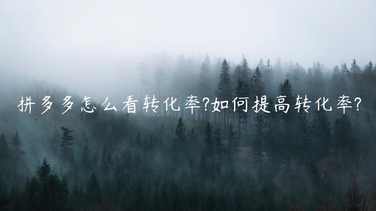 拼多多怎么看轉(zhuǎn)化率?如何提高轉(zhuǎn)化率?